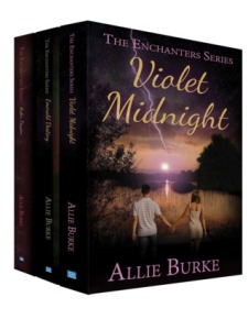 Image of Enchanted Series books